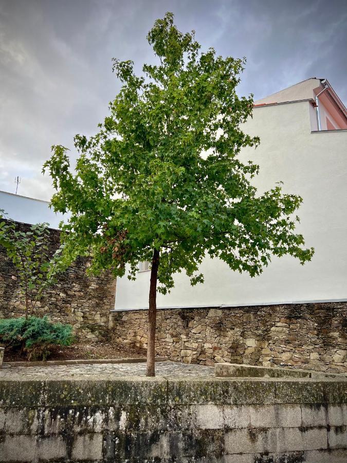 Cantinho Do Castelo Bragança Kültér fotó